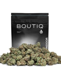 Boutiq Indoor Flower